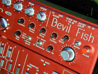 devilfish